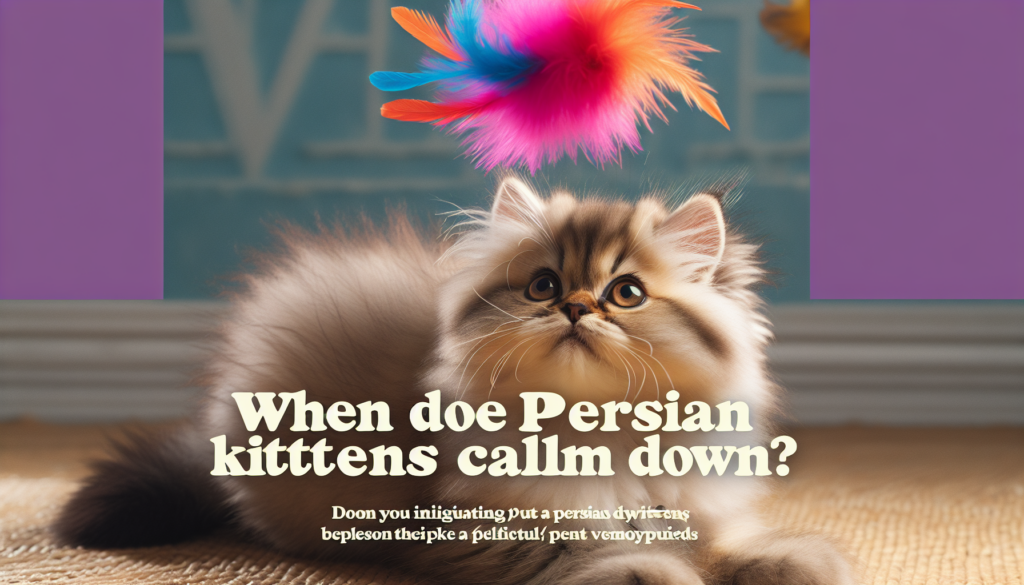 When Do Persian Kittens Calm Down